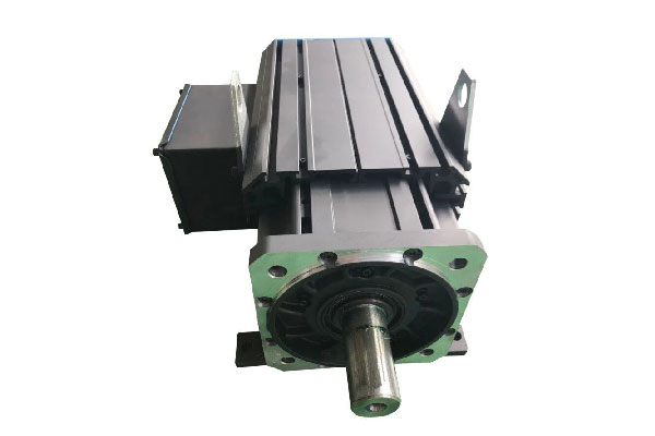 Large Servo Motor