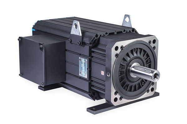 Large Servo Motor